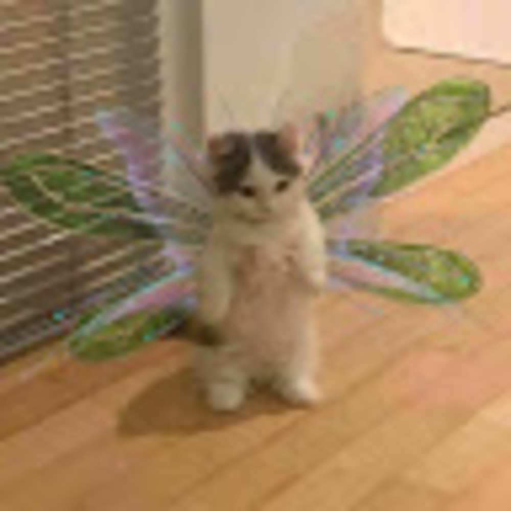 Meet your Posher, Natalie